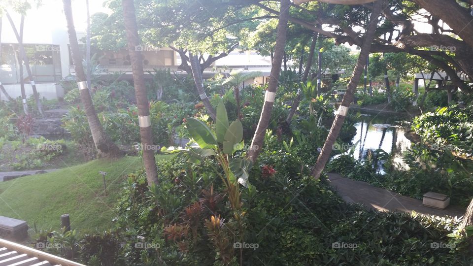 Honolulu Airport. just landed in Hawaii and this is the airport. Next three years will be interesting.