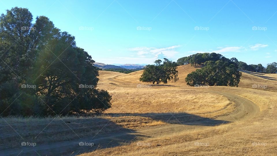 Golden Hills of California, east bay
