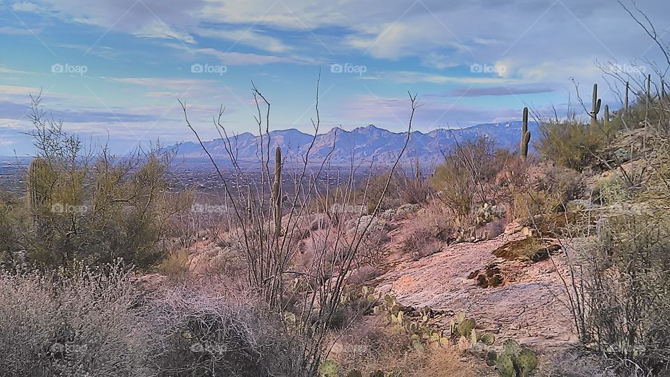 Catalina Mountains, taken from Rincons