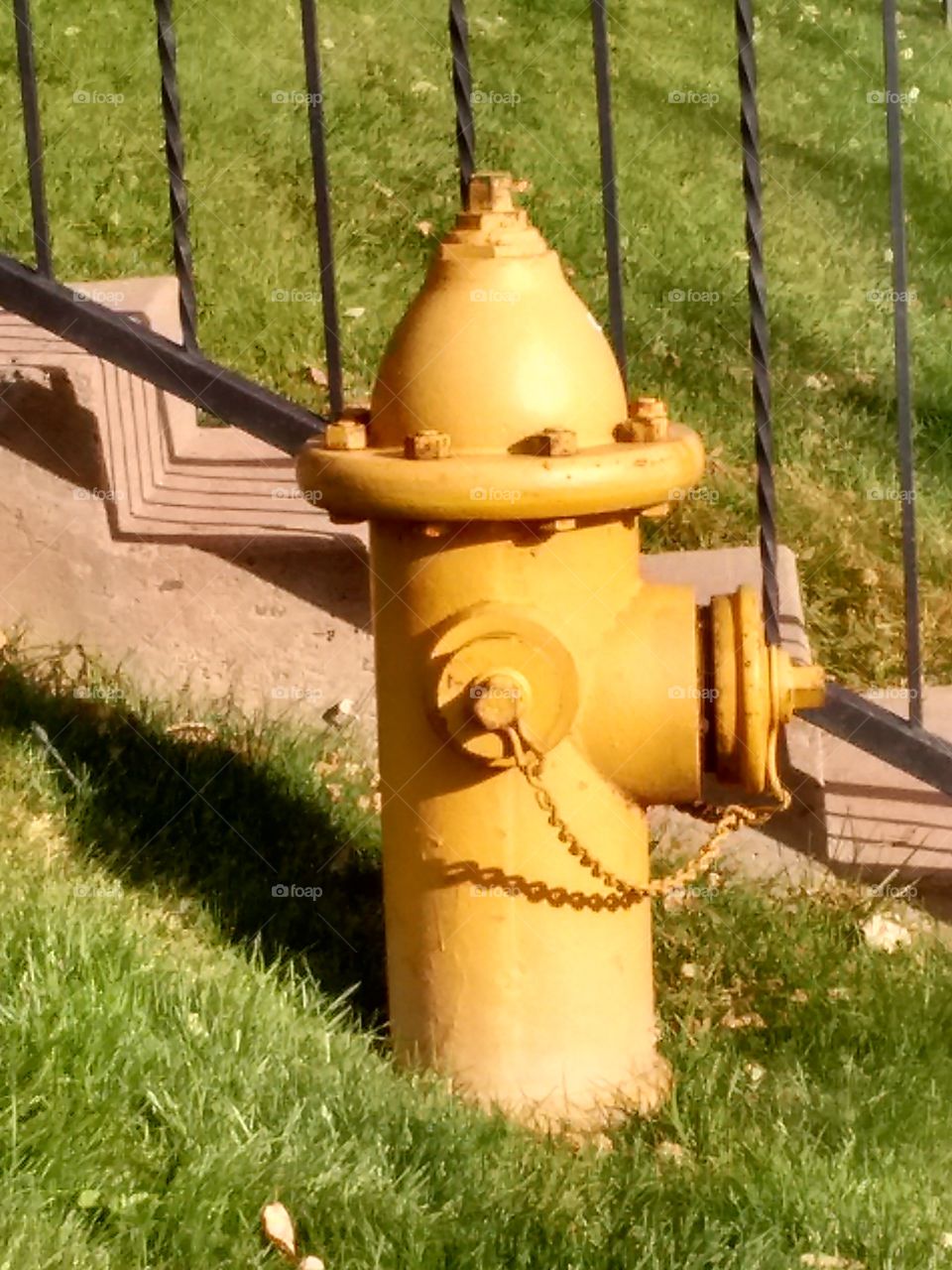 yellow fire hydrant close