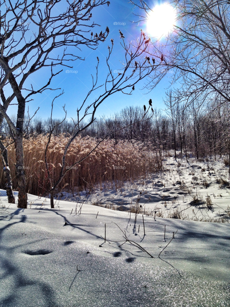 sparkling sparkles snow winter by somebeach