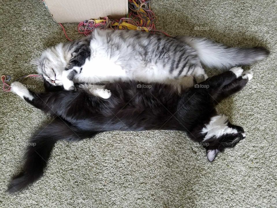 Synchronized Sleeping