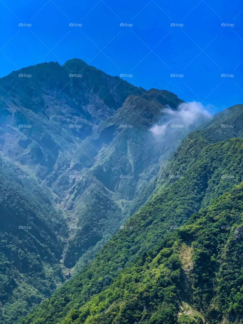 Green mountains of Taiwan