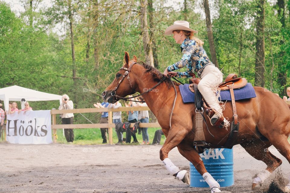 Horse, Action Energy, Competition, Rider, Seated