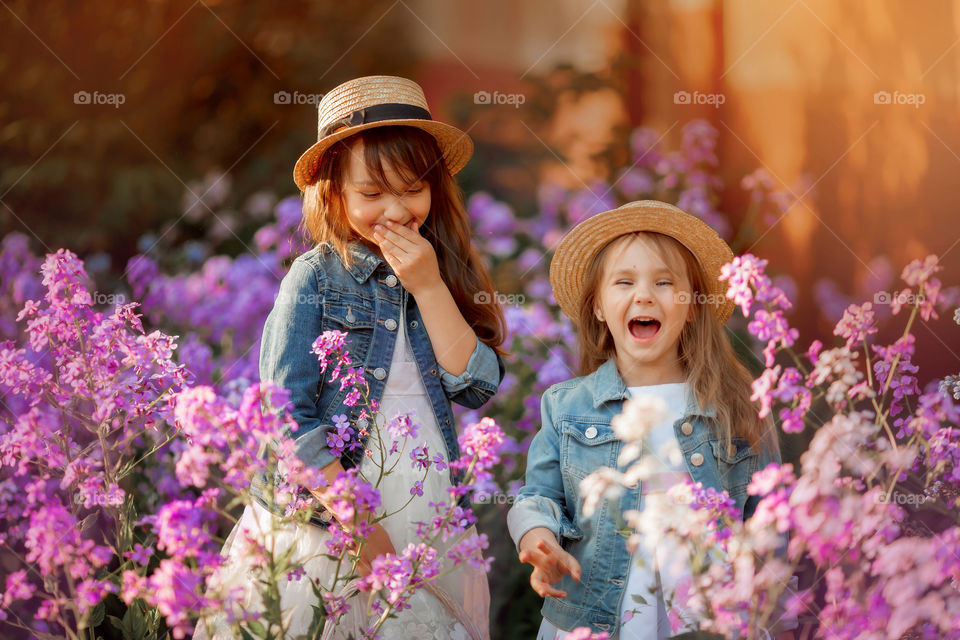 Little sisters in a blossom meadow at sunset 