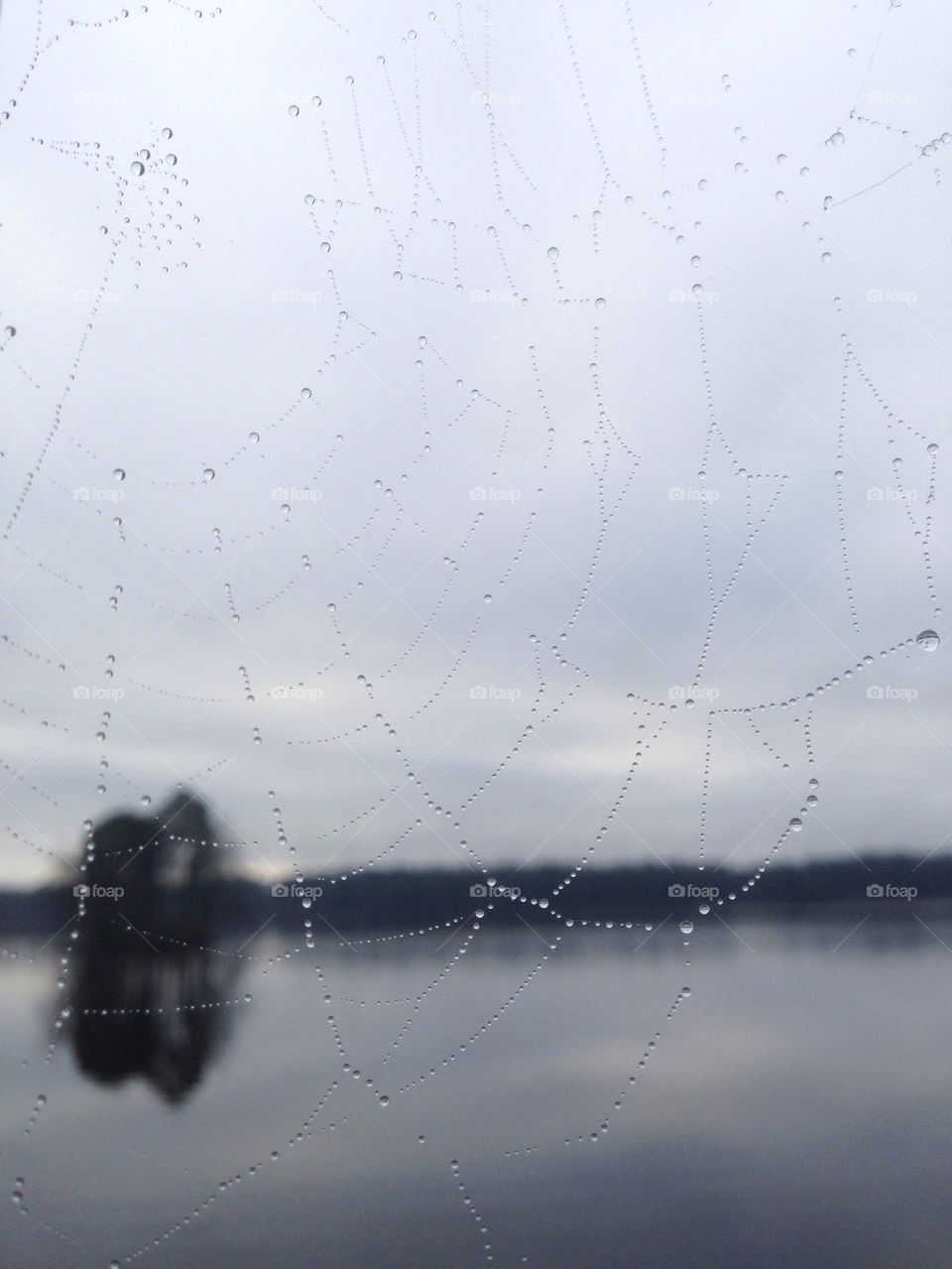 Spider web lake and water drops 