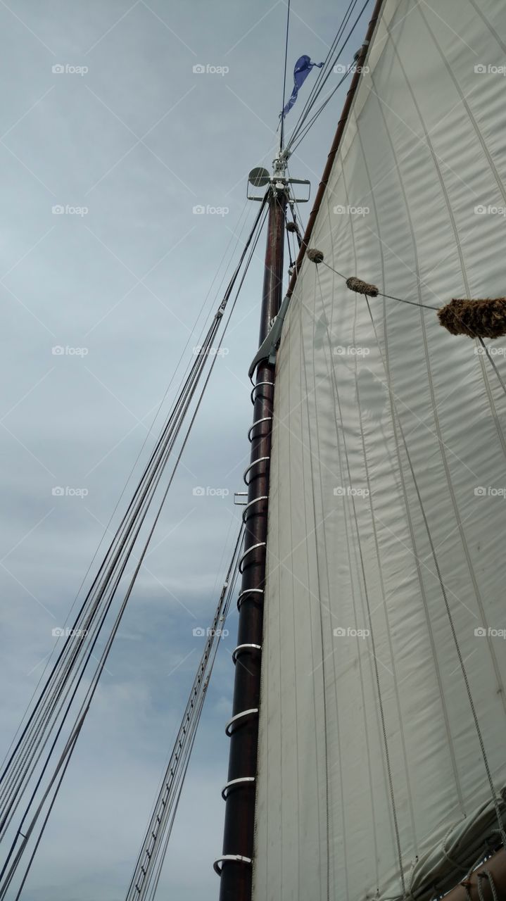 Windjammer sailing
