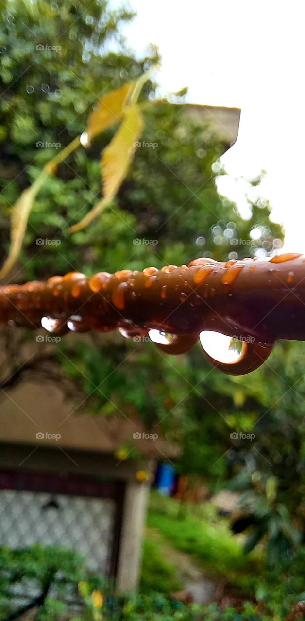 Hanging laundry is not suitable now, but hanging drops - yes