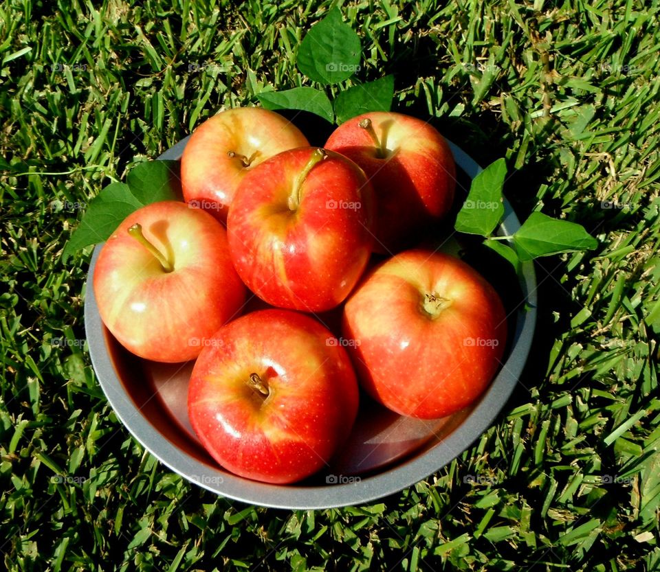fresh and sweet red Apple's