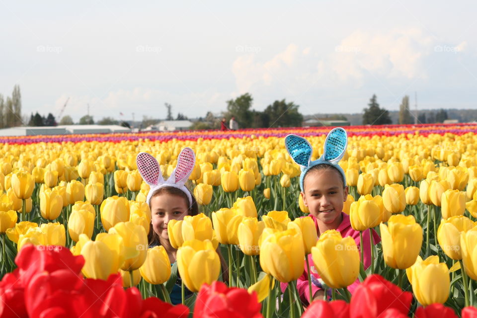 Tulip bunnies