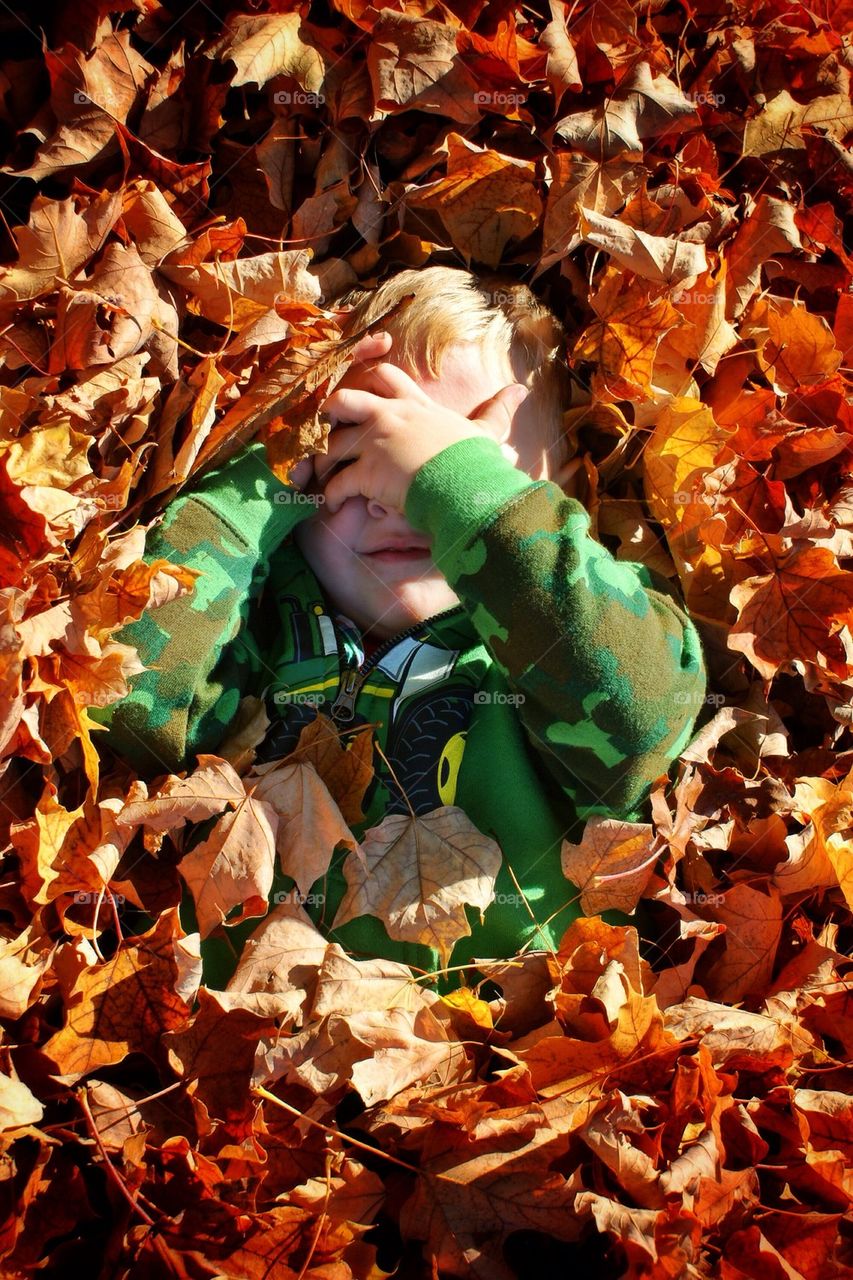 Hiding in the leaves