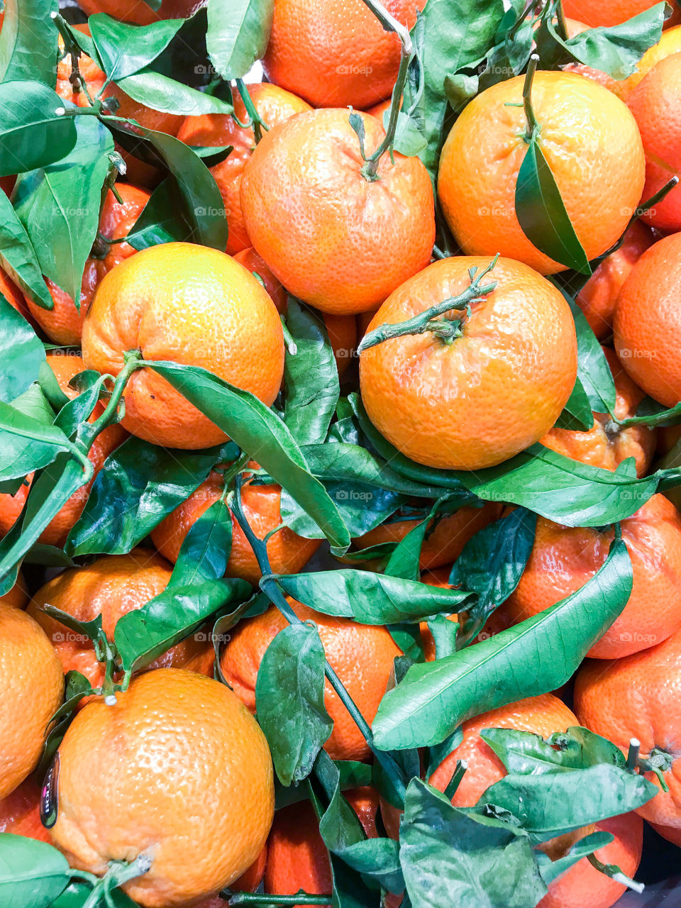 Colorful fresh mandarin fruits 