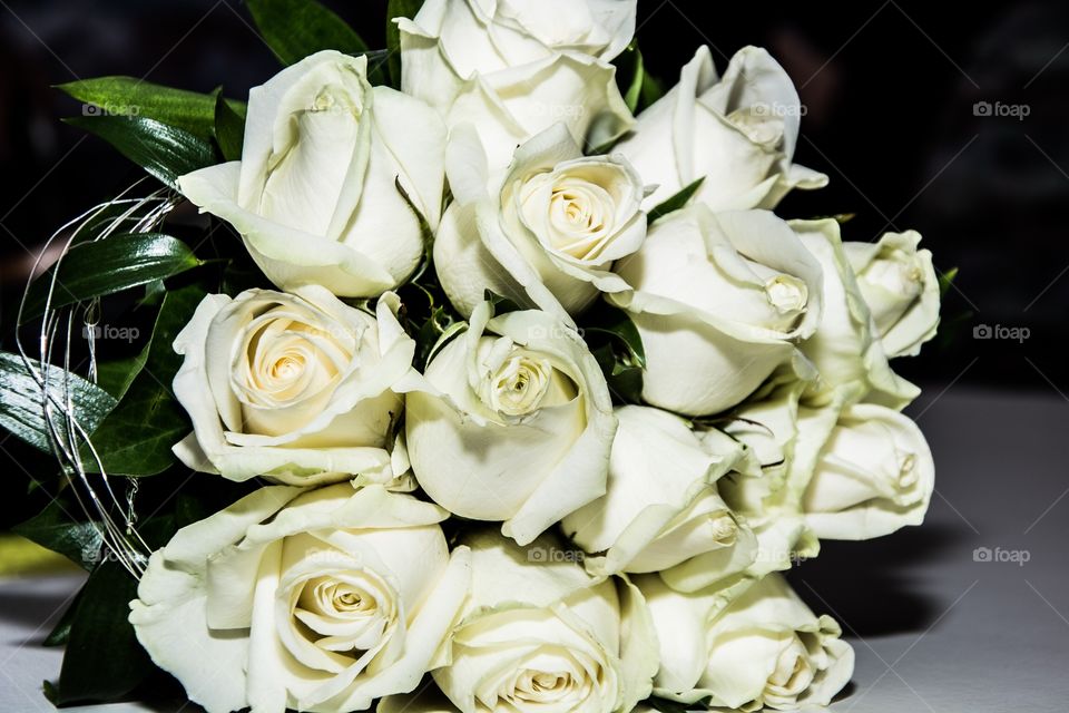 White Rose