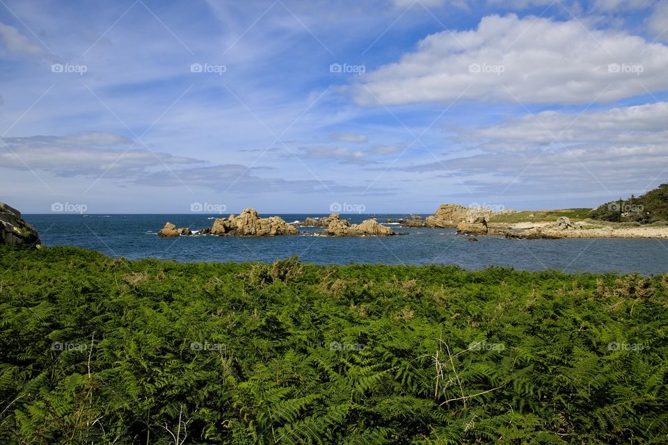 view of the coast of the sea