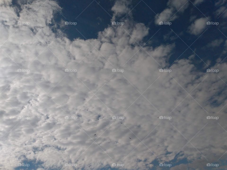 Sky with clouds