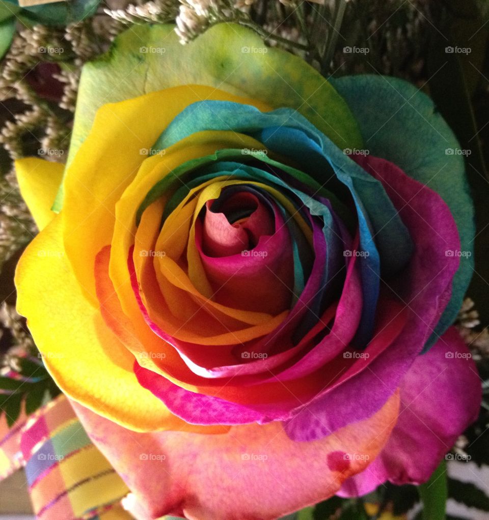 Roses from my love make me happy. Blue, green, yellow and pink. Colours of the rainbow. Looks like an artist painted it. 