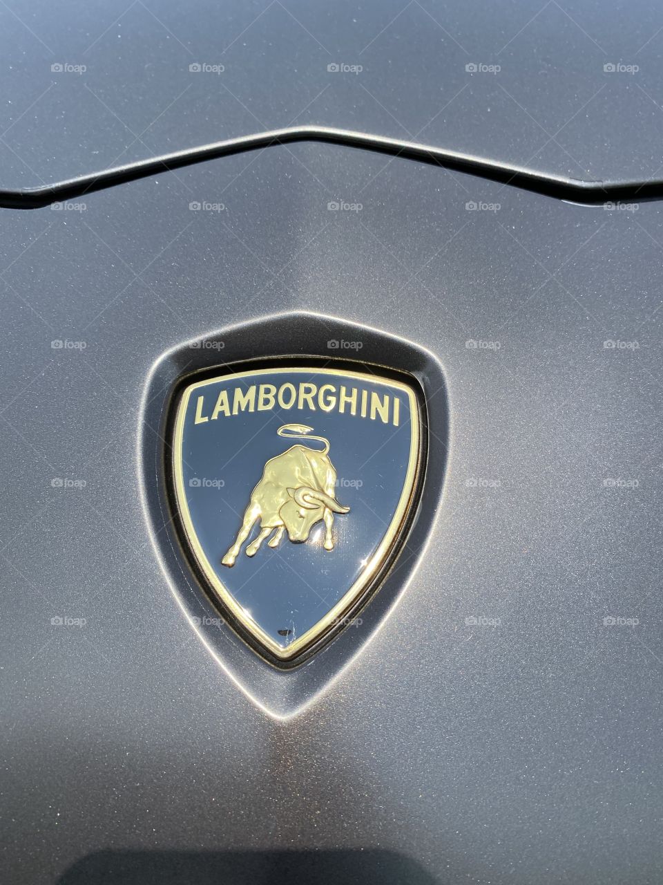 What dreams are made of 