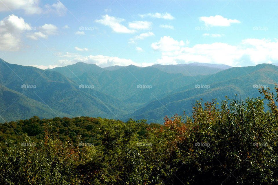 North Carolina mountains