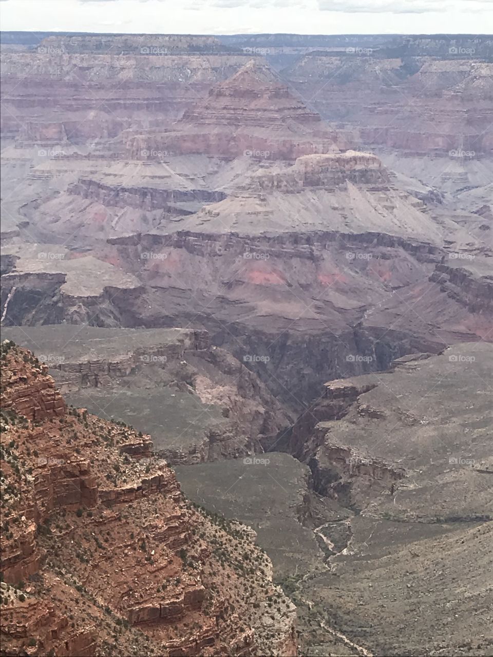 Grand Canyon in Arizona 