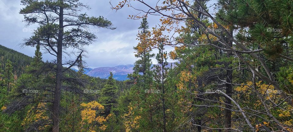 Beautiful views overlooking Carcross Yukon