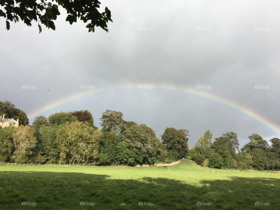 Beautiful rainbow appeared suddenly between sunshine and showers on a very windy day yesterday 