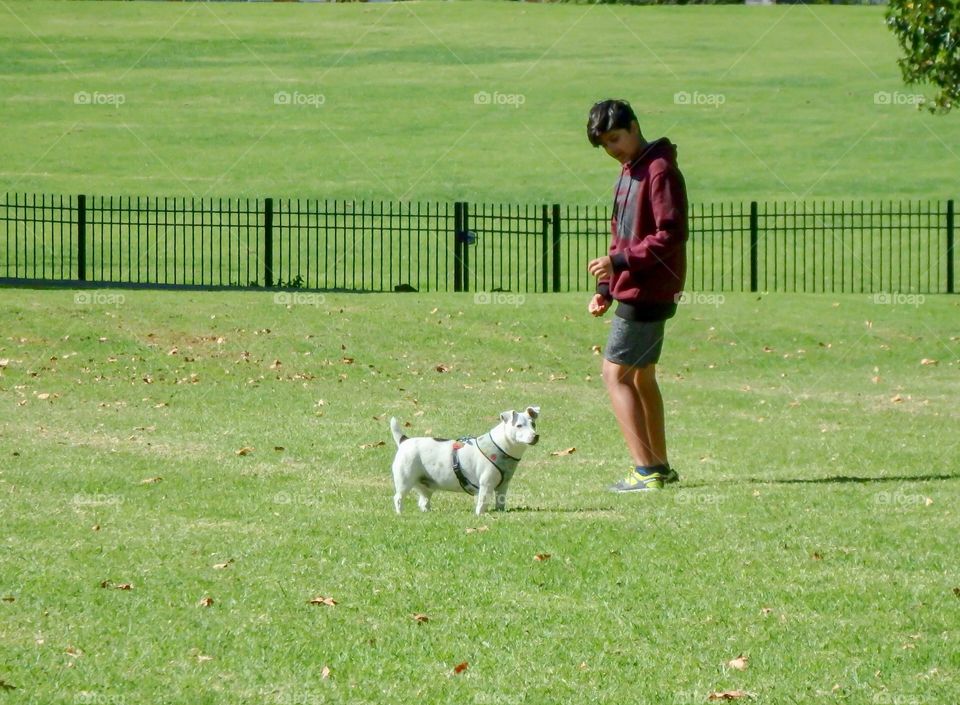 Young boy holds a light coloured dog on a leash on a green grassy field during the daytime 