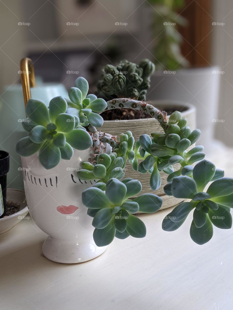 porcelain plant lady face