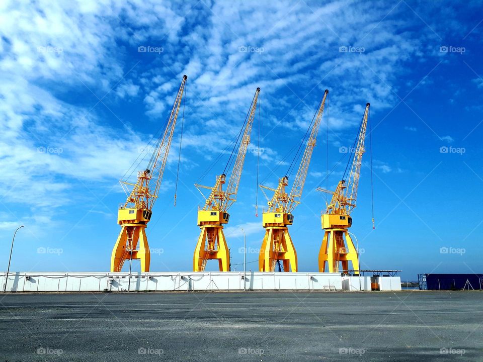 yellow cranes