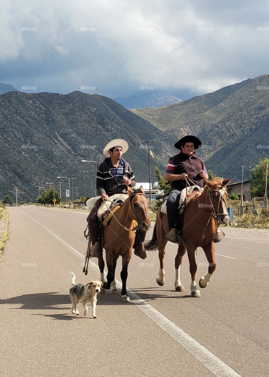 el perro acompaña en paisaje de montaña mendocina