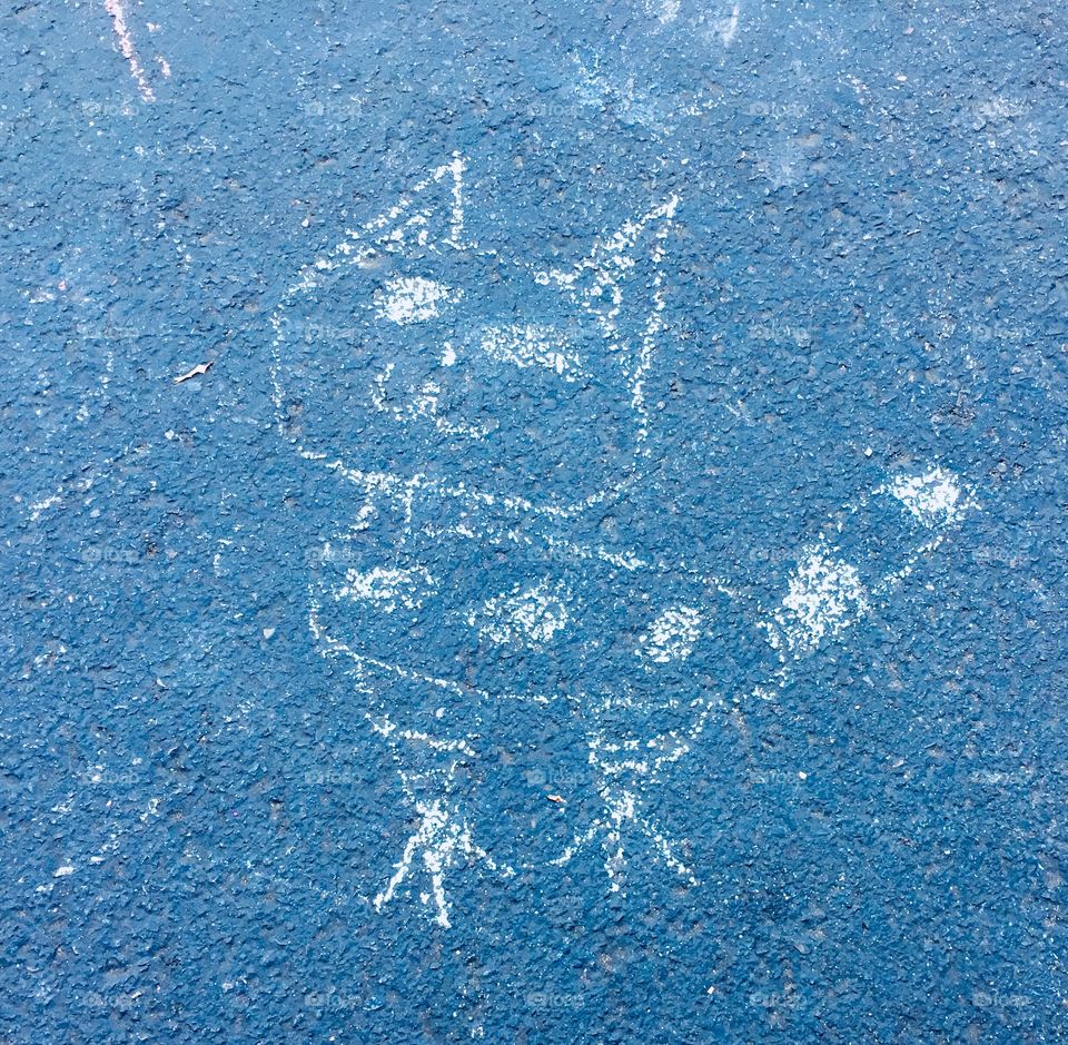 Chalk art: kitty 