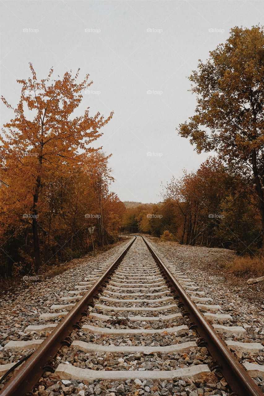 fall tracks.