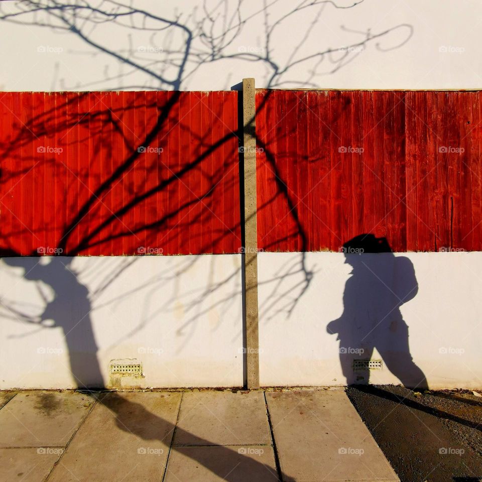 Shadows on the wall...