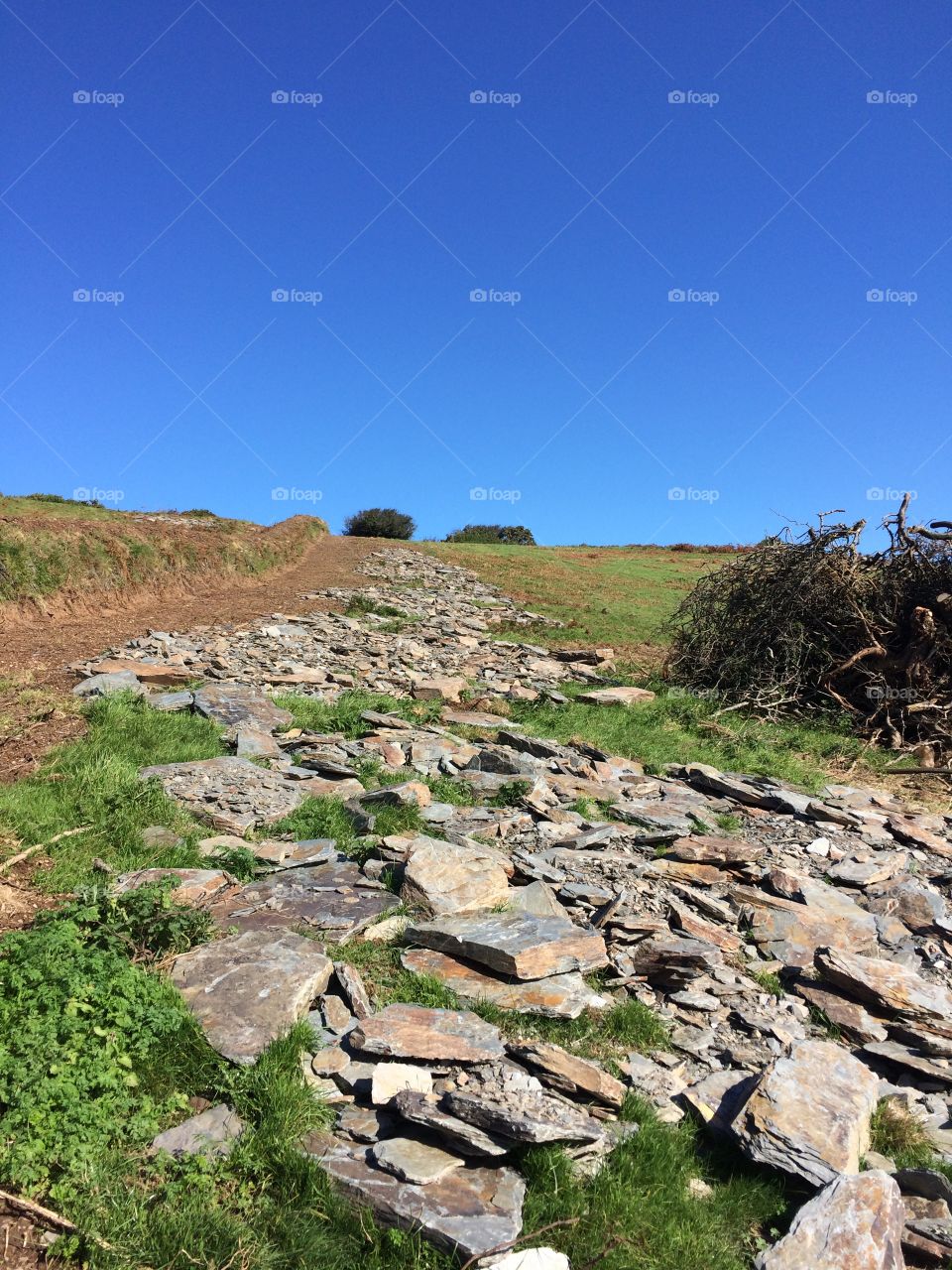 Follow the path and enjoy the reward