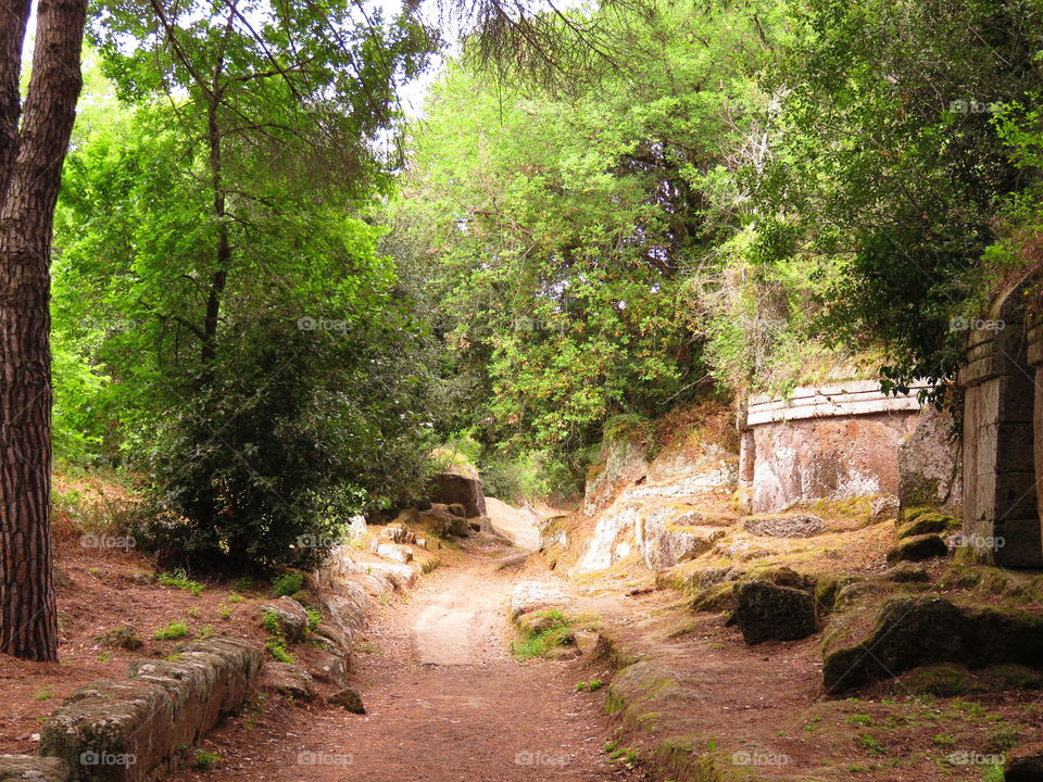 Ceverteri Etruscan necropolis