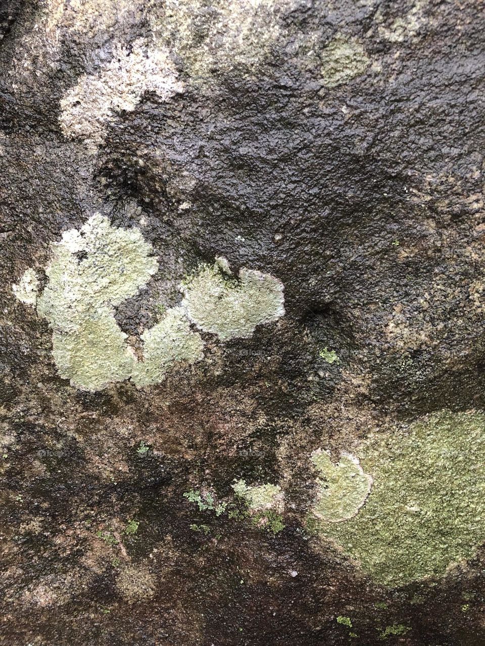 Rock Texture