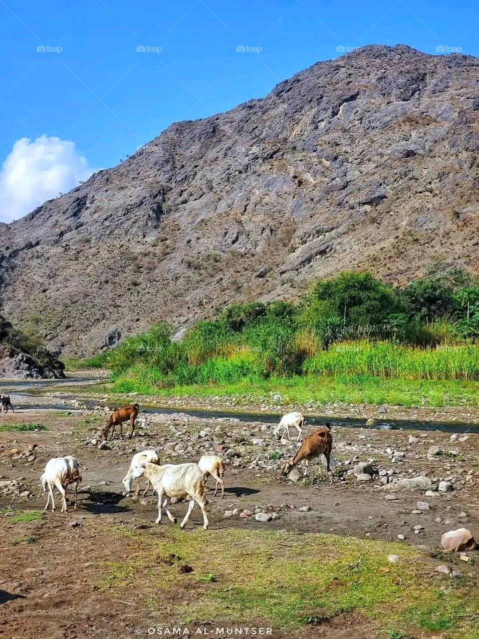 Glory be to God, the magnificent and picturesque view and the natural green trees are a view that is nothing more wonderful than it