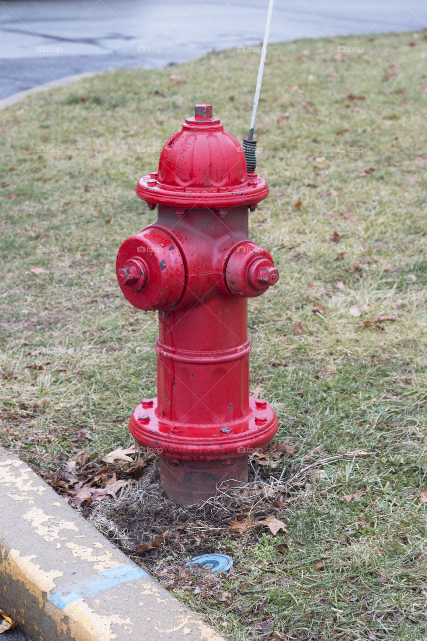 Red fire hydrant 