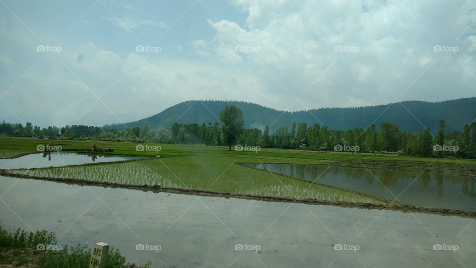 Water, No Person, Landscape, Lake, Nature