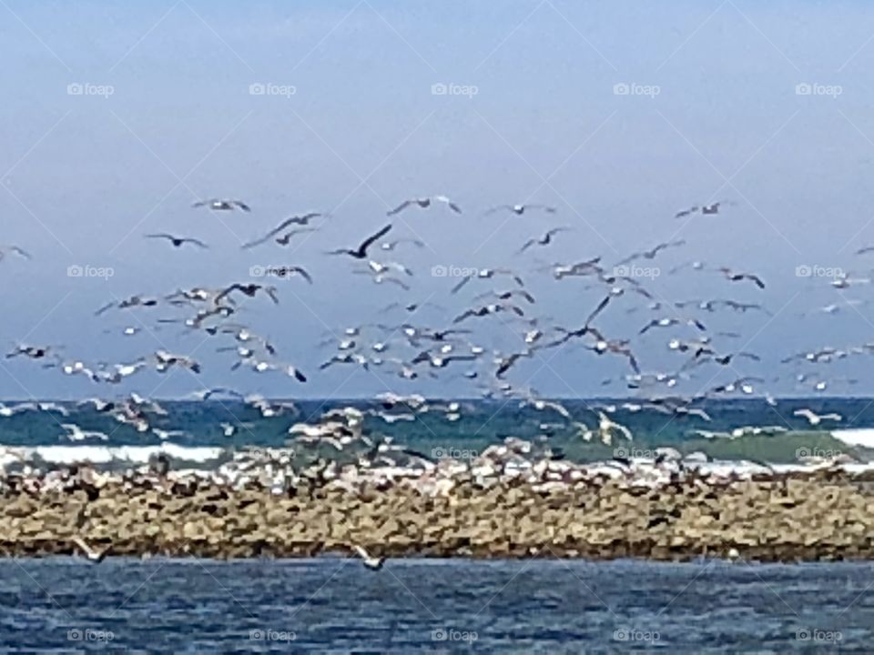 Amazing Destinations Across the Country, Foap Mission, San Clemente State Park 