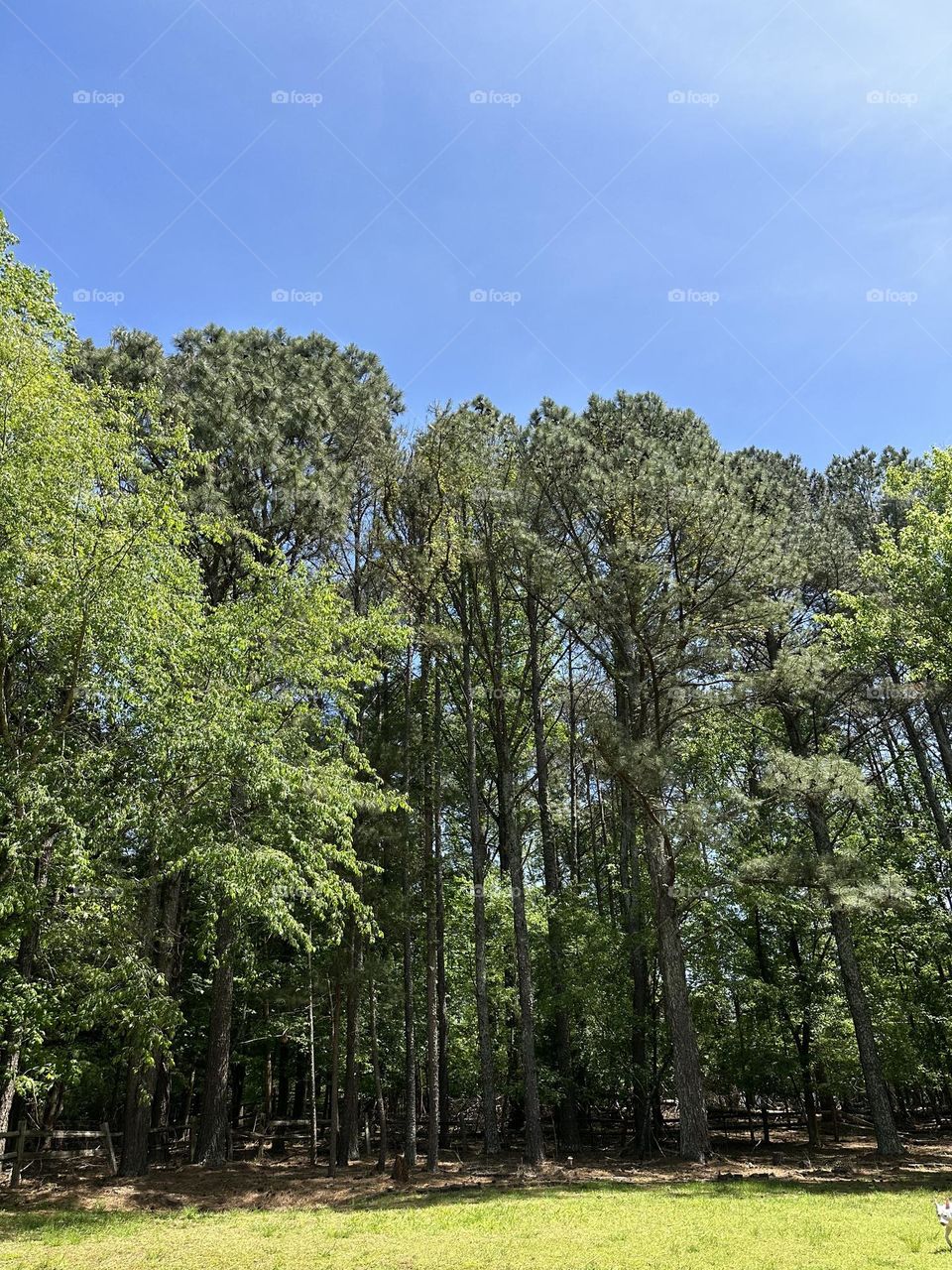 All is beautiful 🤩