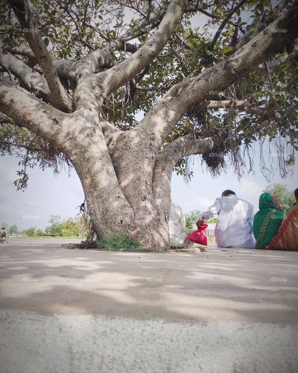 capturing the world best moments