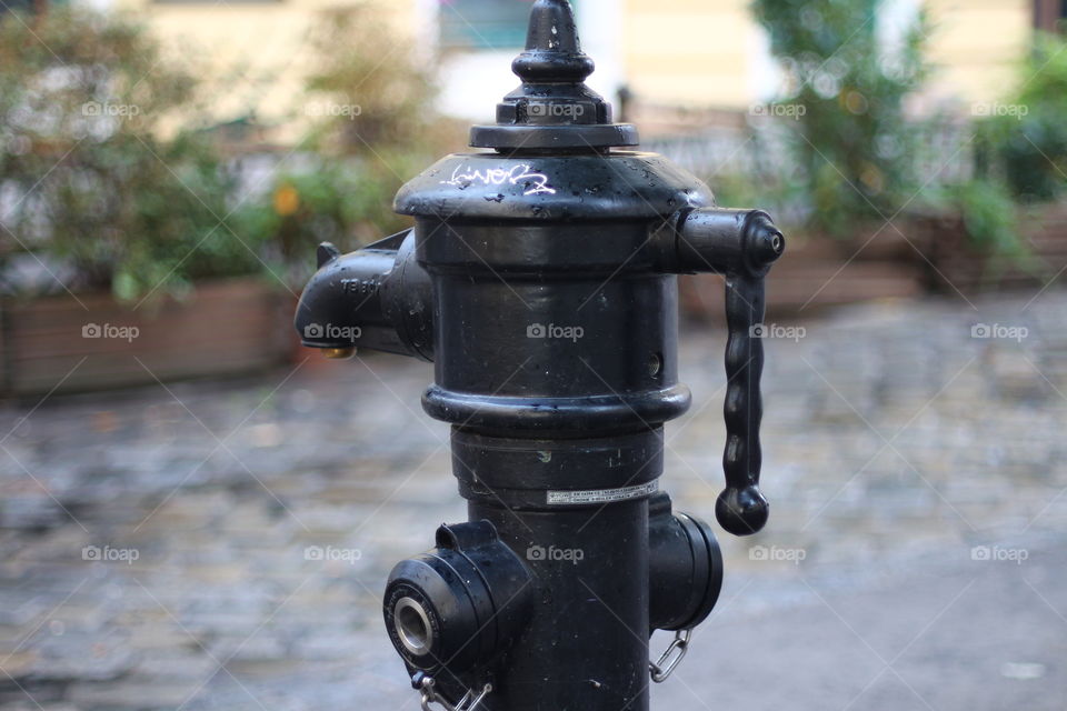 Plenty water for the pedestrian 