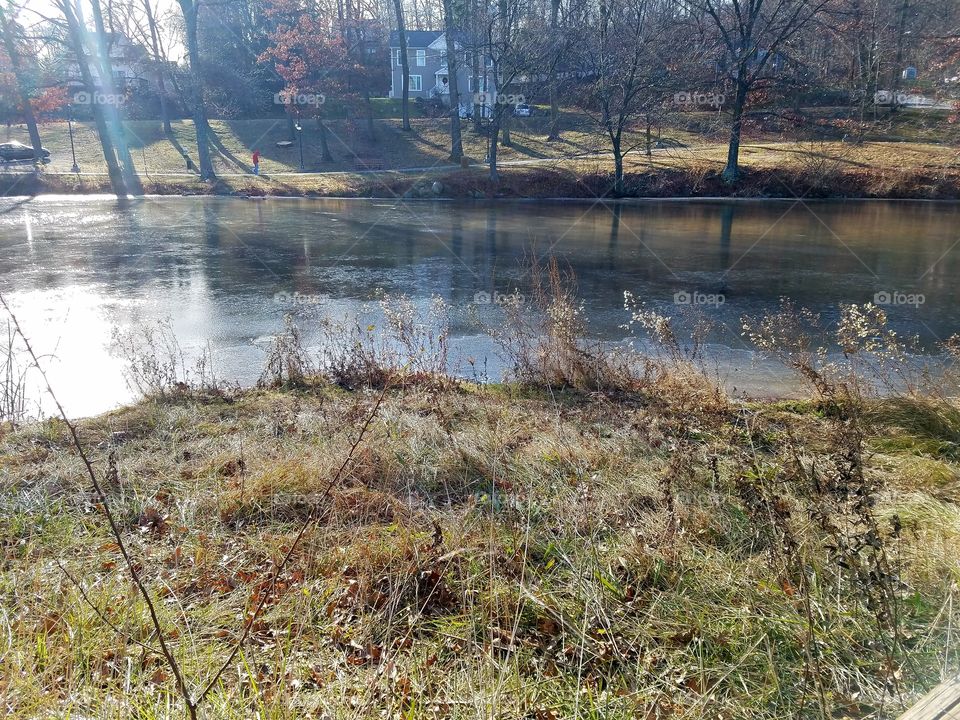 Frozen lake at a park