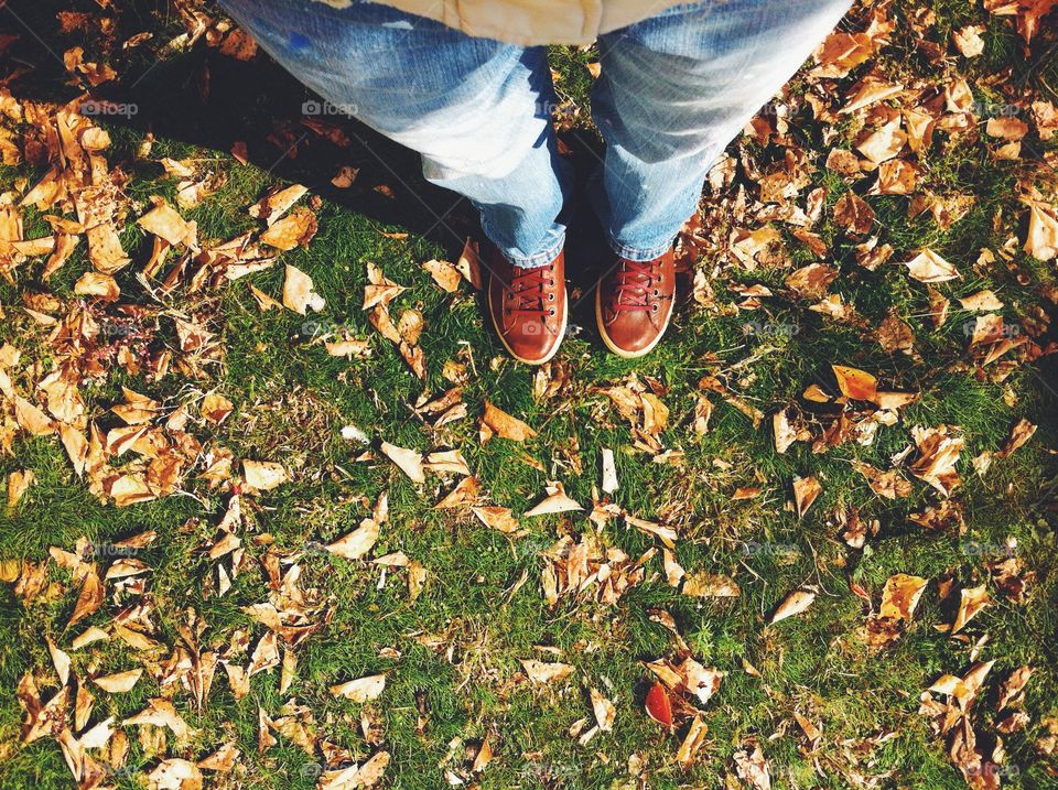 Leaf, Nature, Grass, Outdoors, Flora