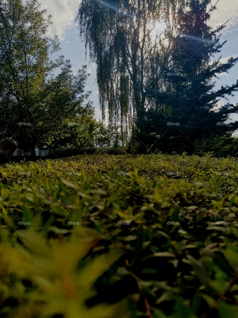 city ​​walk
