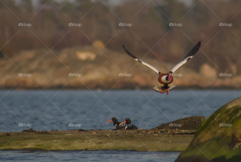 Kuggeboda, Ronneby Sweden