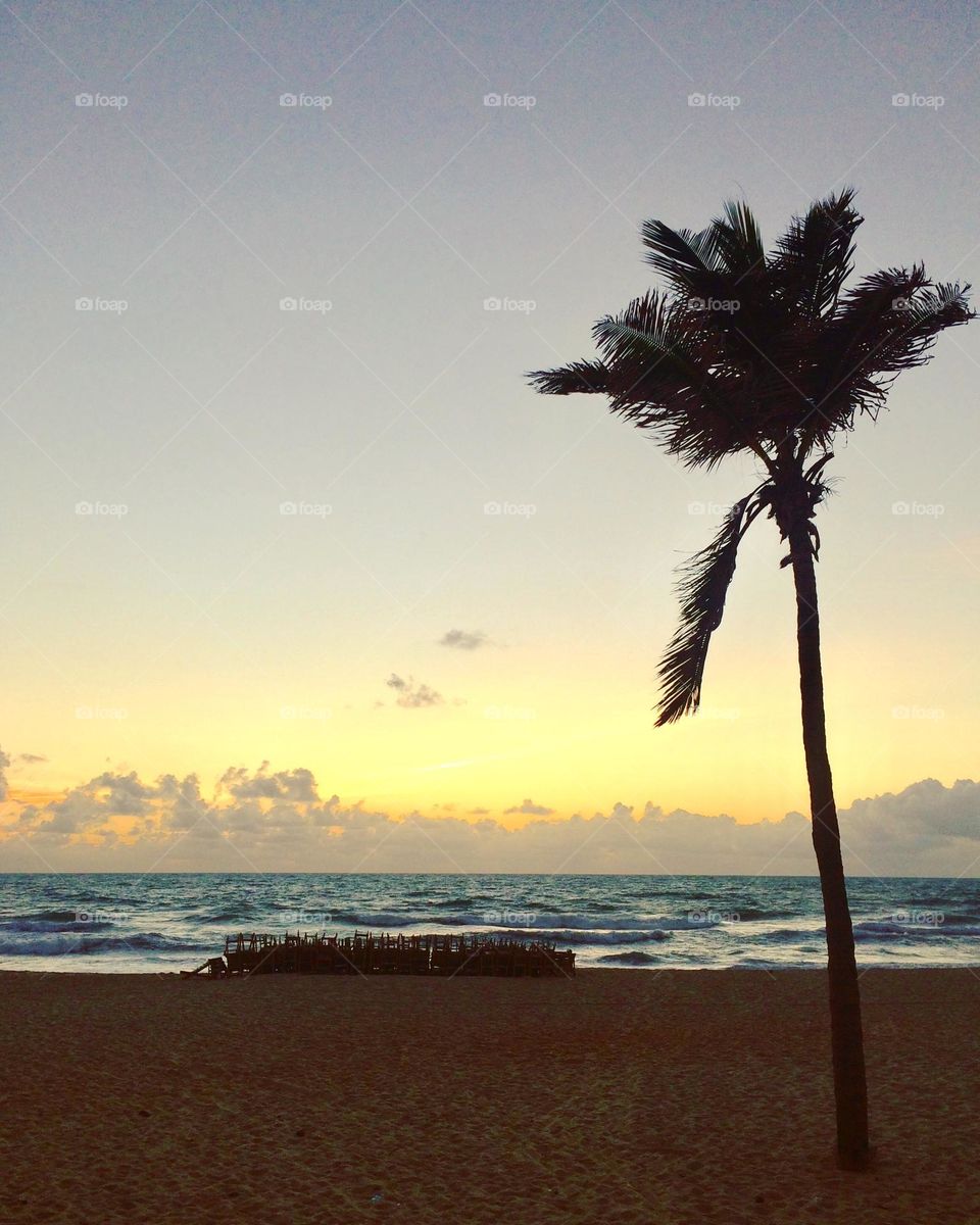 🇺🇸 The beauty of the Brazilian coast: here, our beaches are charming and very well maintained. / 🇧🇷 A beleza do litoral brasileiro: aqui, as nossas praias são encantadoras e muito bem cuidadas.

