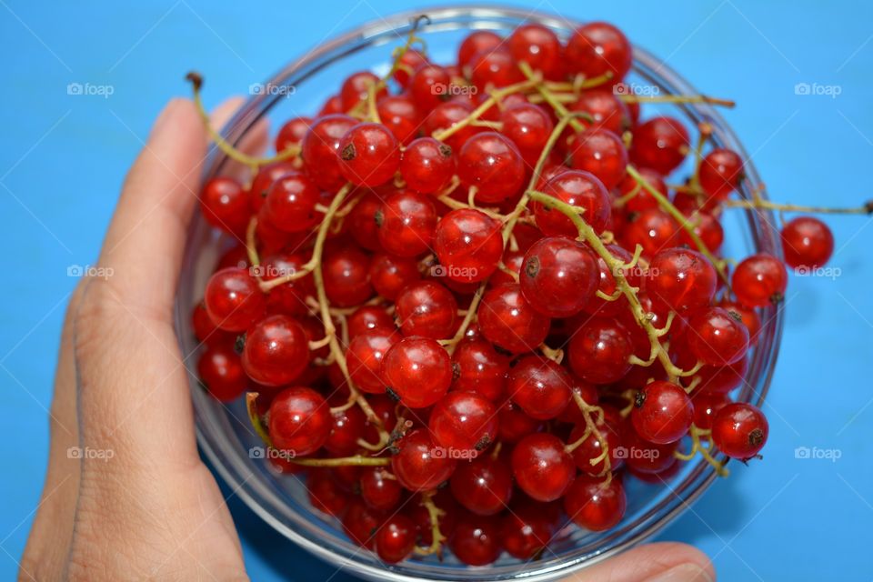 red berries summer food on a plate in the hand blue background