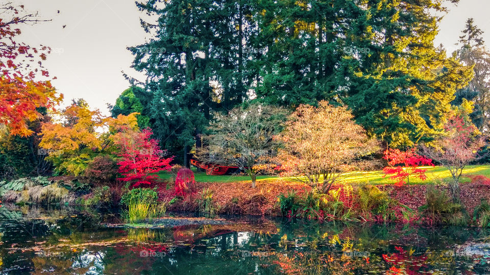 Autumn in Canada