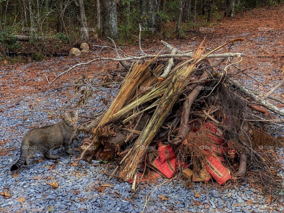She found something different- strange colors😀